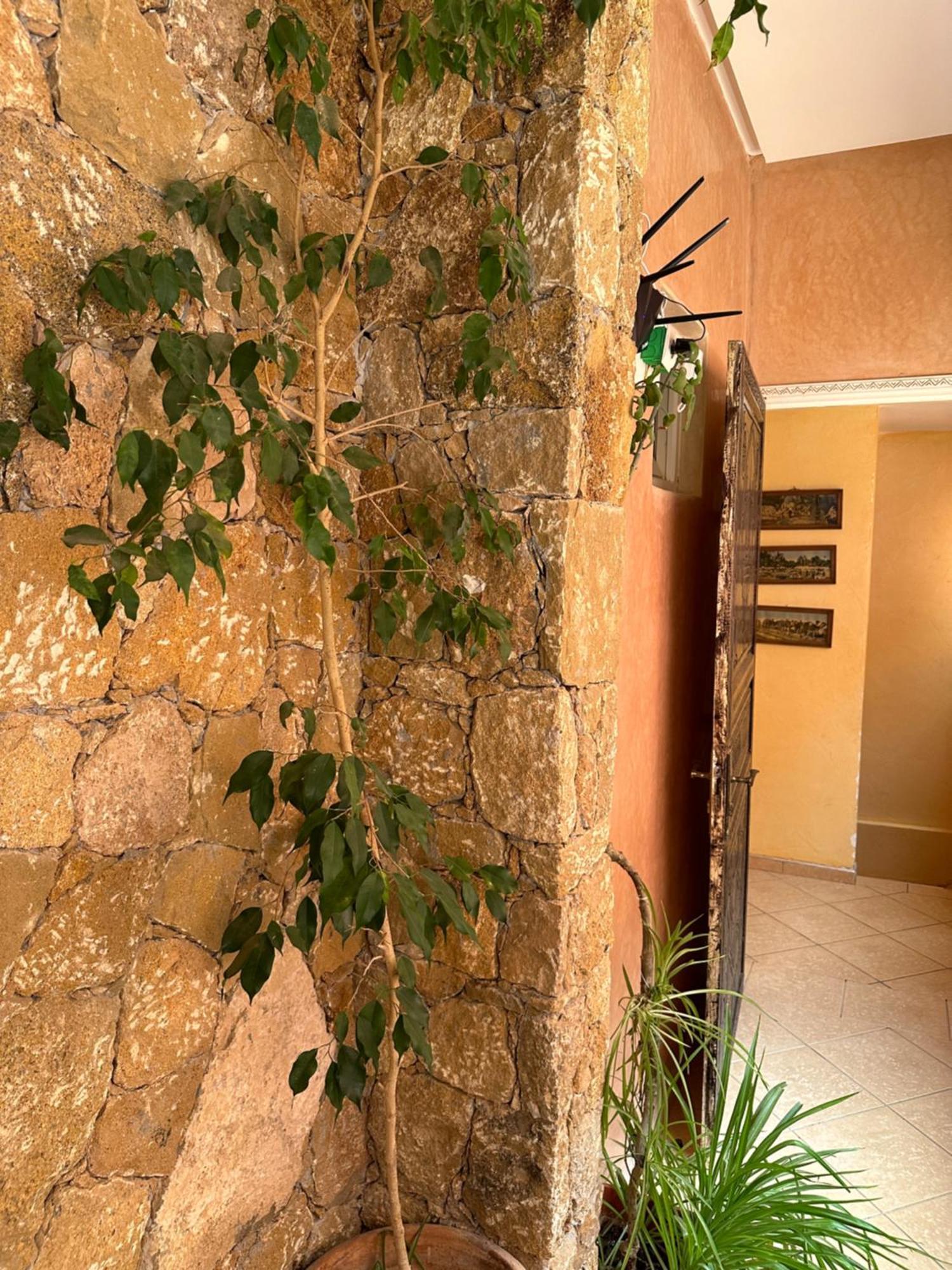 Europa mirlef t aventur Guest House Mirleft Extérieur photo